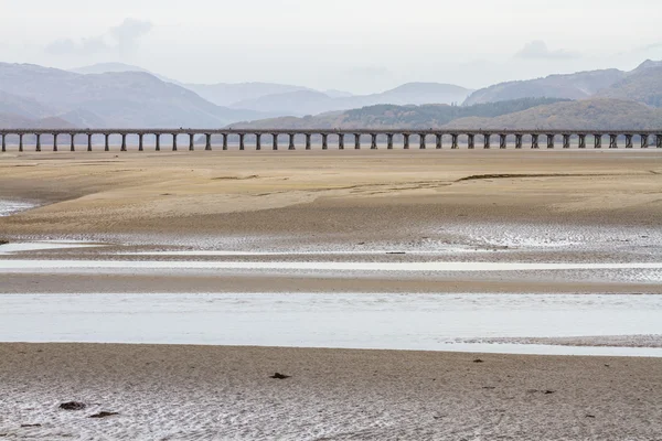 Mawddach 河口和高架桥 — 图库照片