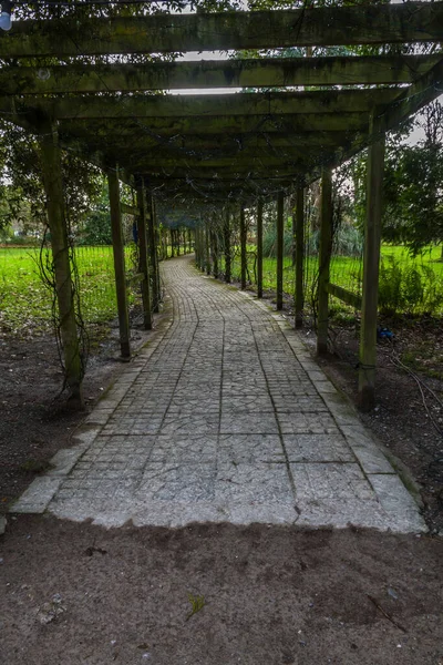 Pokryta Ścieżka Parku Zimą Utwardzona Ścieżka Portret — Zdjęcie stockowe