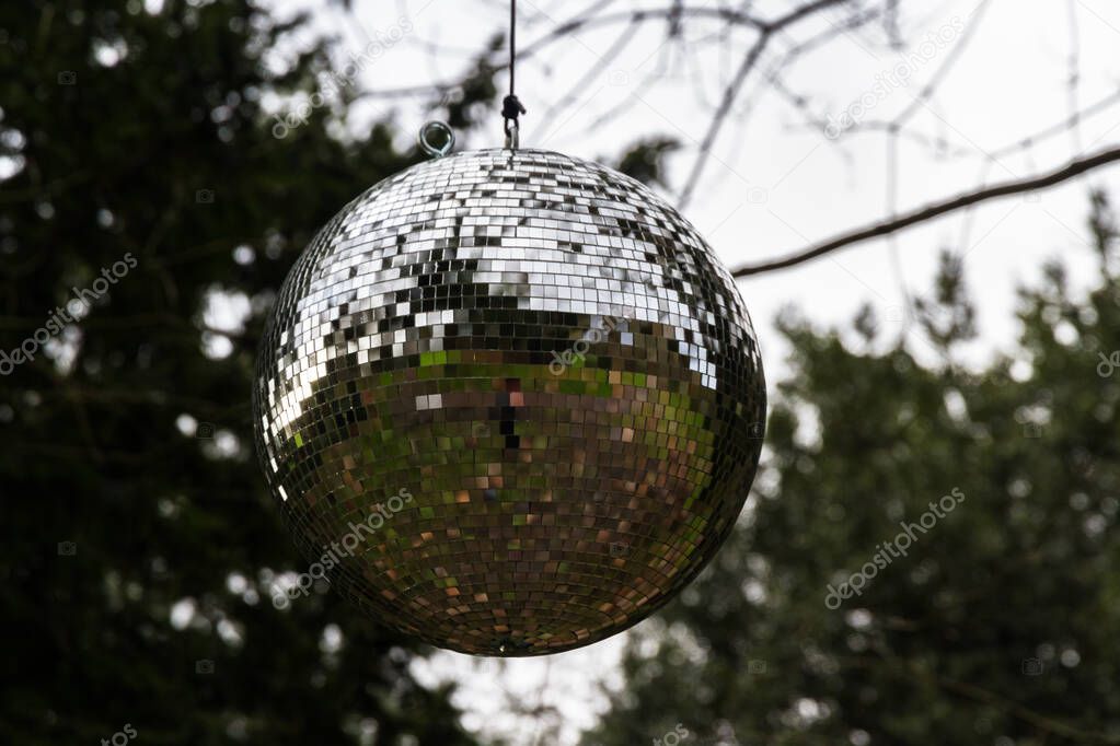 Large mirrorball hanging from a tree.