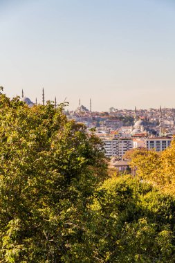 İstanbul şehir manzarası, öndeki ve gökyüzündeki ağaçlar, telif alanı, portre