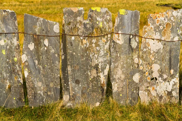 Alte Schiefer Bilden Zaun Flechten Auf Stein — Stockfoto