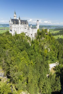 Neuschwanstein Şatosu arasında yeşil ağaçlar, Bavyera Alpleri.