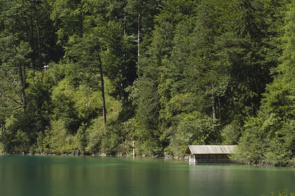 Lago Green Alpsee con cobertizo de navegación y árboles, Alemania —  Fotos de Stock