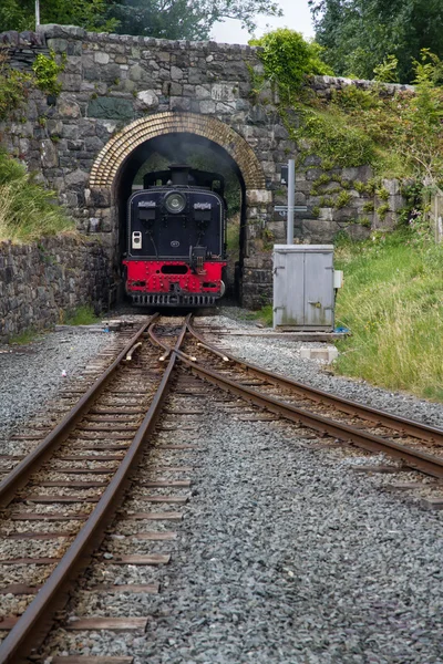 Welsh Highland narrow gauge railway. Steam Locomotive approaches — Stock Photo, Image