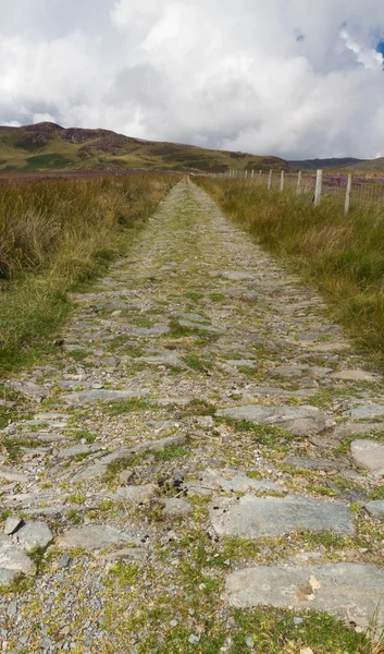 Minor road into distance, wilderness — Stock Photo, Image