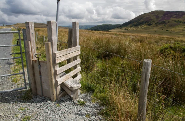 Step Stile style, with gate for dog, North Wales — Stock Photo, Image