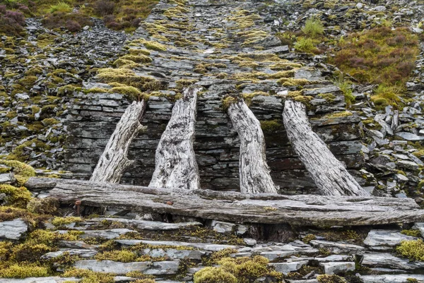 독특한 나무 경사 다리. — 스톡 사진