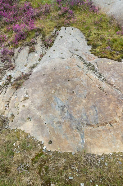 Rock Cannon, North Wales — Stock Photo, Image