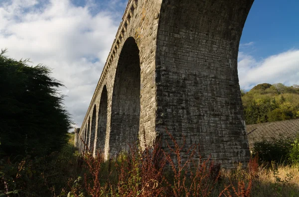 Le viaduc Knucklas transporte le chemin de fer Heart of Wales . — Photo