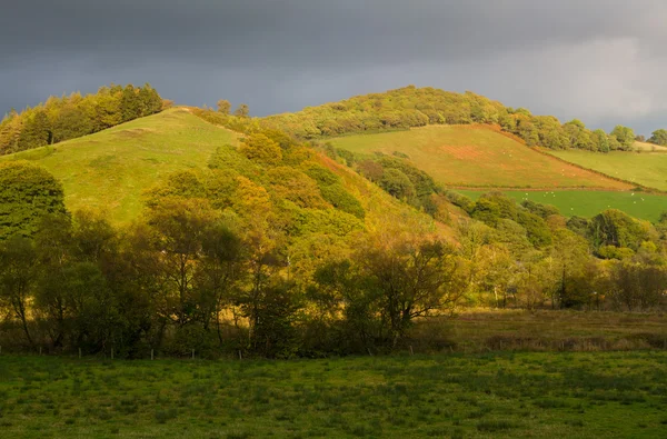 Autumn Fall Fields and Trees, Pays de Galles, Royaume-Uni . — Photo