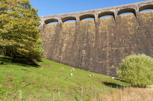 The Claerwen Dam, field in foreground — Stock Photo, Image