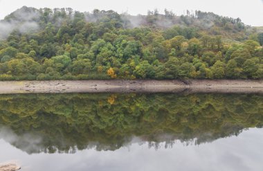 Ağaçlar, su, sonbahar sonbahar yansıyan sabah sis ile.