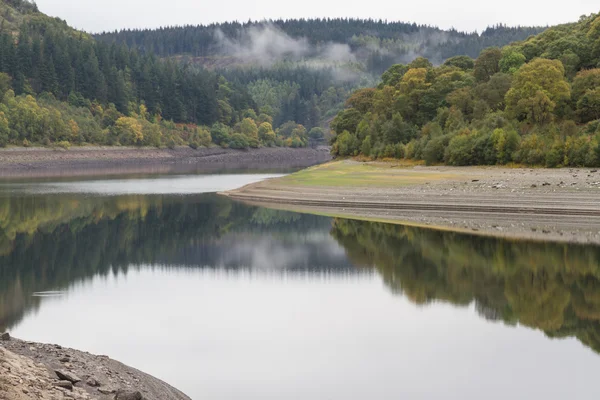 Árvores, colinas e rios com neblina matinal, refletida na água, Au — Fotografia de Stock