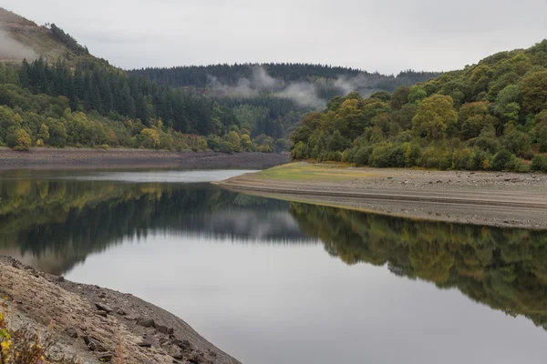 Arbres, collines et rivière avec brume matinale, reflétée dans l'eau, Au — Photo