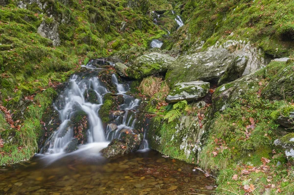 Small waterfall in mossy woodland. — Stock Photo, Image