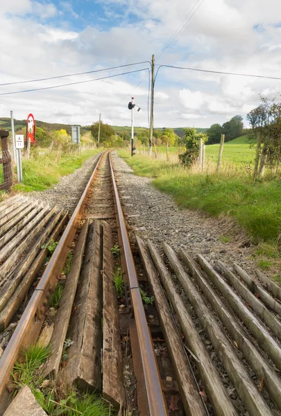 Ancho angosto ferrocarril o vía férrea que converge en distancia —  Fotos de Stock