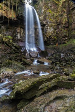 Melincourt şelale. Sakin yüksek şelale.