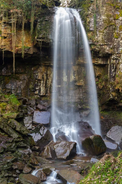 Cascade de Melincourt. Tranquille cascade haute . — Photo