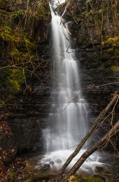 Petite cascade longue exposition — Photo