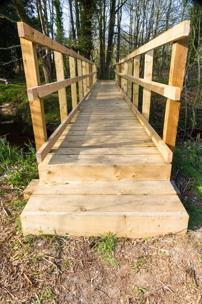 Современный деревянный мост — стоковое фото