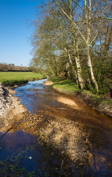 English stream in Spring. — Stock Photo, Image