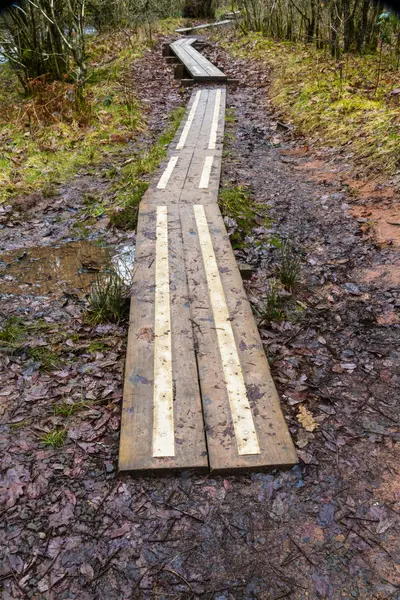 Sendero con tablas o tablones de madera — Foto de Stock