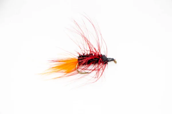 Schwarze Und Orangefarbene Wollmückenfischerei — Stockfoto