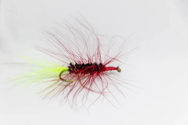 Black Red Wooly Bugger Fishing Fly — Stock Photo, Image