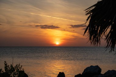 Palmiyeli tropik plaj günbatımı