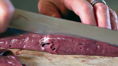 sinek tuzağı aygıtı 