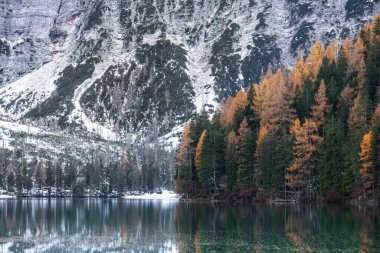 Tentino Alto Adige, İtalya 'da sonbahar yeşilliği