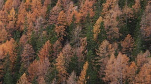 Képeslap Trentino Alto Adige-ből — Stock videók