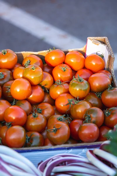 Tomates no mercado alimentar italiano — Fotografia de Stock