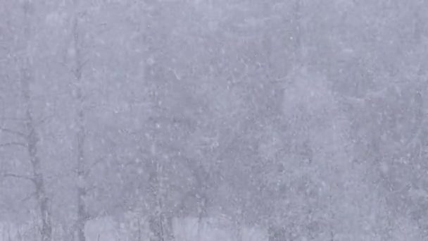 Duże opady śniegu spadające nad włoskimi Alpami — Wideo stockowe