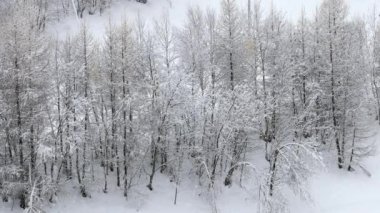 İtalyan Alpleri 'ne şiddetli kar yağıyor.