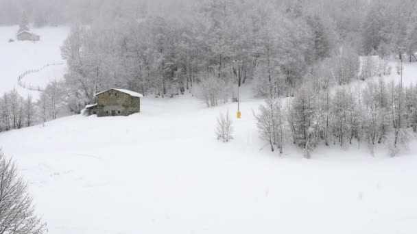 Kiedy pada śnieg na zewnątrz — Wideo stockowe