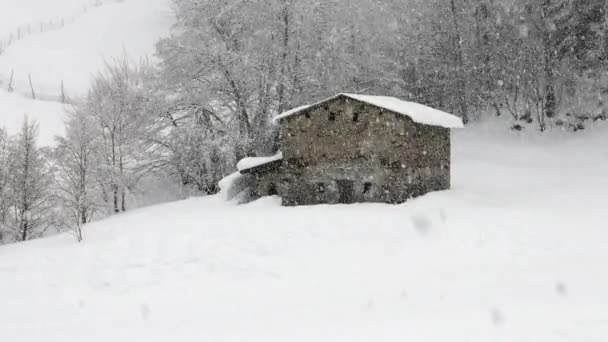 When its snowing outside — Stock Video