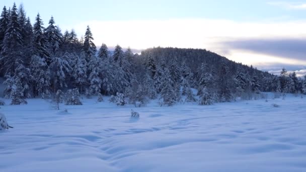 Pôr-do-sol romântico na neve — Vídeo de Stock