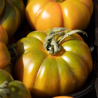 İtalya 'da gıda pazarında savoy lahana