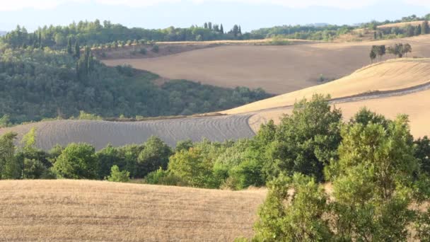 Toscaanse zomer landschap — Stockvideo