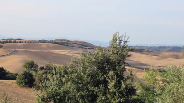 Panorama estivo toscano — Video Stock