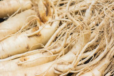 Kuru Ginseng kök makro.
