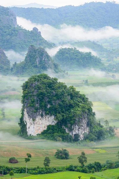 Landscpae view of Pu langka (lang ka mountain) with mist in morning time. — Stock Photo, Image