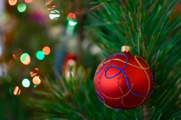 Rode bal op groene sparren takken op een wazige achtergrond. Kerst en Nieuwjaar decoraties. Een kerstbal op de boom. Ondiepe scherptediepte — Stockfoto