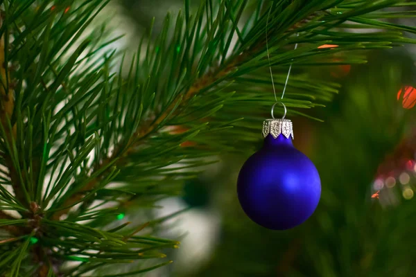 Bola azul em ramos de abeto verde em um fundo desfocado. Decorações de Natal e Ano Novo. Uma bugiganga numa árvore. Profundidade de campo rasa — Fotografia de Stock