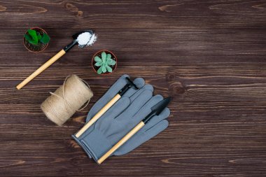 Eldivenli bir bahçe aletleri seti ve ahşap desenli koyu arkaplanda çiçek nakli için bir kap. Yazı için uygun bir yer. Yukarıdan görüntüle.