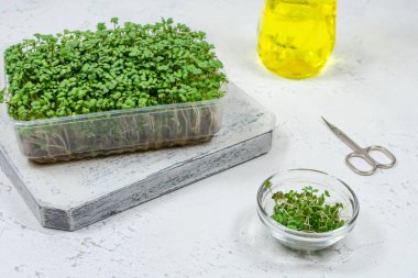 Sarı arka planda kırmızı ve pembe laleler. Anneler Günü, Sevgililer Günü, doğum günü kutlaması konsepti. Merhaba Spring, yeri kopyala, üst görünüm, tebrik kartı