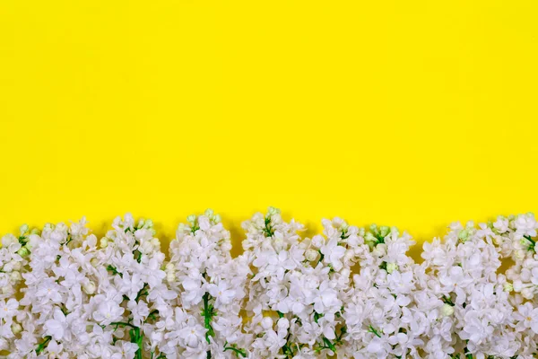 Flores de color lila blanco sobre fondo amarillo. Concepto floral mínimo. Lugar para el texto. Patrón floral como un diseño para una tarjeta de felicitación. Día de las Madres. Vacaciones para mujer. — Foto de Stock