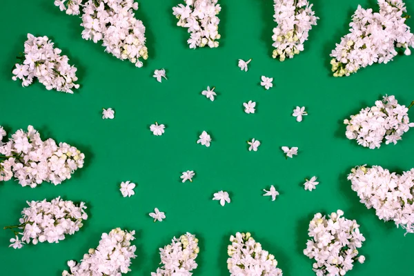 Círculo de flores de color lila blanco sobre un fondo verde. Concepto floral mínimo. Patrón floral como un diseño para una tarjeta de felicitación, copiar el espacio para su texto. Día de las Madres. Vacaciones para mujer. — Foto de Stock