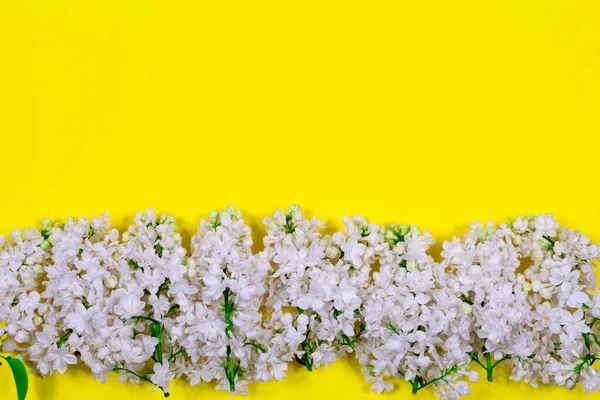 Flores de color lila blanco sobre fondo amarillo. Concepto floral mínimo. Lugar para el texto. Patrón floral como diseño para una tarjeta de felicitación. — Foto de Stock